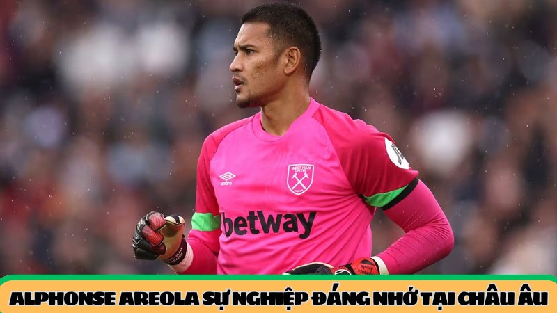 Sự nghiệp đáng nhớ của Areola