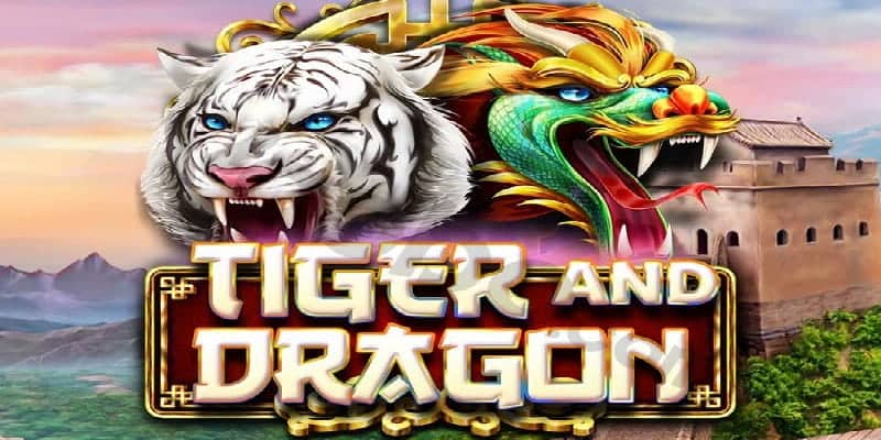 Chiến thuật chơi Dragon Tiger hiệu quả
