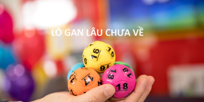 Lô gan lâu chưa về