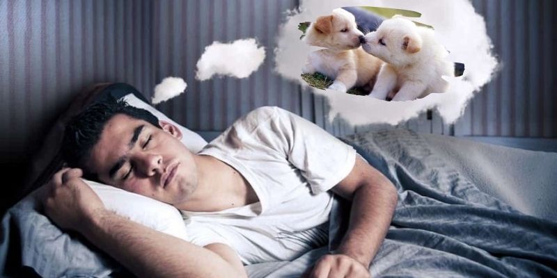 Nằm mơ thấy chó nên đánh con gì?