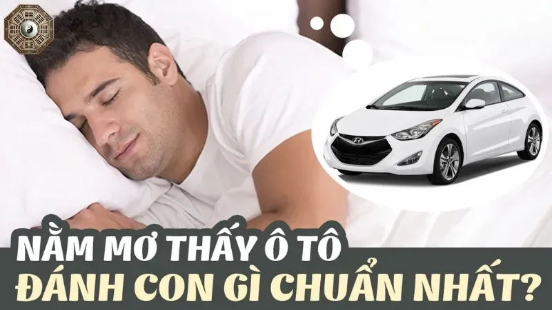 Nằm mơ thấy ô tô đánh con gì?