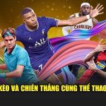 Tham gia thể thao Hubet