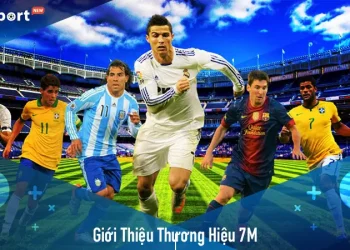 Giới thiệu nền tảng 7M