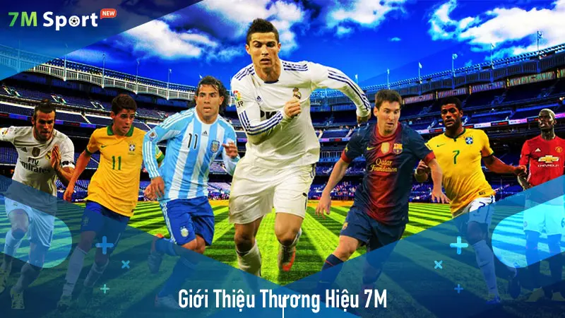 Giới thiệu nền tảng 7M